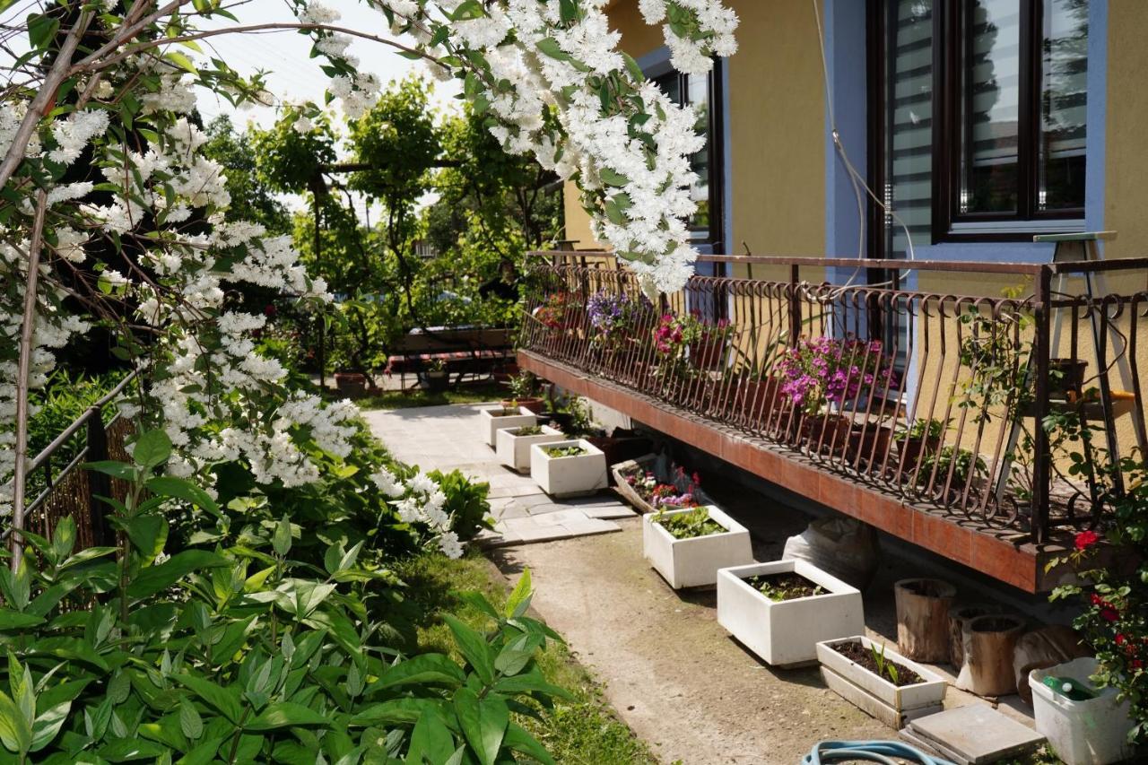 Apartamento Etnobubi Novi Sip Exterior foto